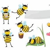 Les abeilles qui bzzzz…butinent !